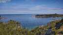 ./images/calvert/foggy-cove/20250704/foggy-cove20250704_100510M.jpg