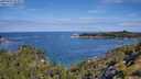 ./images/calvert/foggy-cove/20250704/foggy-cove20250704_103011M.jpg