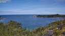 ./images/calvert/foggy-cove/20250704/foggy-cove20250704_111010M.jpg