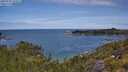 ./images/calvert/foggy-cove/20250704/foggy-cove20250704_111511M.jpg