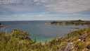./images/calvert/foggy-cove/20250704/foggy-cove20250704_124510M.jpg