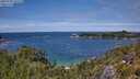 ./images/calvert/foggy-cove/20250704/foggy-cove20250704_131510M.jpg