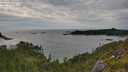 ./images/calvert/foggy-cove/20250704/foggy-cove20250704_175510M.jpg
