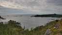 ./images/calvert/foggy-cove/20250704/foggy-cove20250704_180011M.jpg