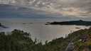 ./images/calvert/foggy-cove/20250704/foggy-cove20250704_204009M.jpg
