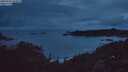 ./images/calvert/foggy-cove/20250705/foggy-cove20250705_044009M.jpg