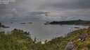 ./images/calvert/foggy-cove/20250705/foggy-cove20250705_065509M.jpg