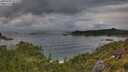 ./images/calvert/foggy-cove/20250705/foggy-cove20250705_071510M.jpg
