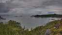 ./images/calvert/foggy-cove/20250705/foggy-cove20250705_073010M.jpg