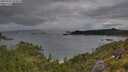 ./images/calvert/foggy-cove/20250705/foggy-cove20250705_074010M.jpg