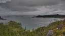 ./images/calvert/foggy-cove/20250705/foggy-cove20250705_074510M.jpg