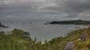 ./images/calvert/foggy-cove/20250705/foggy-cove20250705_081010M.jpg