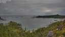 ./images/calvert/foggy-cove/20250705/foggy-cove20250705_084509M.jpg