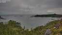 ./images/calvert/foggy-cove/20250705/foggy-cove20250705_090510M.jpg