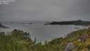 ./images/calvert/foggy-cove/20250705/foggy-cove20250705_092509M.jpg