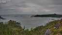 ./images/calvert/foggy-cove/20250705/foggy-cove20250705_095509M.jpg