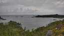 ./images/calvert/foggy-cove/20250705/foggy-cove20250705_101010M.jpg