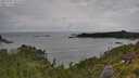 ./images/calvert/foggy-cove/20250705/foggy-cove20250705_101510M.jpg
