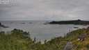 ./images/calvert/foggy-cove/20250705/foggy-cove20250705_102010M.jpg