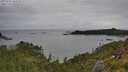 ./images/calvert/foggy-cove/20250705/foggy-cove20250705_102510M.jpg