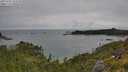 ./images/calvert/foggy-cove/20250705/foggy-cove20250705_103510M.jpg