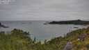 ./images/calvert/foggy-cove/20250705/foggy-cove20250705_110008M.jpg