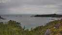 ./images/calvert/foggy-cove/20250705/foggy-cove20250705_111511M.jpg