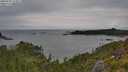 ./images/calvert/foggy-cove/20250705/foggy-cove20250705_112011M.jpg