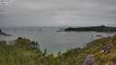 ./images/calvert/foggy-cove/20250705/foggy-cove20250705_115011M.jpg