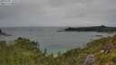 ./images/calvert/foggy-cove/20250705/foggy-cove20250705_120511M.jpg