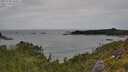 ./images/calvert/foggy-cove/20250705/foggy-cove20250705_125011M.jpg