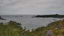 ./images/calvert/foggy-cove/20250705/foggy-cove20250705_125510M.jpg