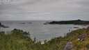 ./images/calvert/foggy-cove/20250705/foggy-cove20250705_130012M.jpg
