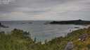 ./images/calvert/foggy-cove/20250705/foggy-cove20250705_131010M.jpg