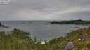 ./images/calvert/foggy-cove/20250705/foggy-cove20250705_140510M.jpg