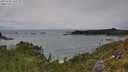 ./images/calvert/foggy-cove/20250705/foggy-cove20250705_142510M.jpg