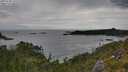 ./images/calvert/foggy-cove/20250705/foggy-cove20250705_145508M.jpg
