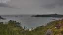 ./images/calvert/foggy-cove/20250705/foggy-cove20250705_155509M.jpg