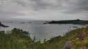./images/calvert/foggy-cove/20250705/foggy-cove20250705_162510M.jpg