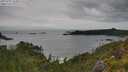 ./images/calvert/foggy-cove/20250705/foggy-cove20250705_163010M.jpg
