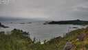 ./images/calvert/foggy-cove/20250705/foggy-cove20250705_165509M.jpg