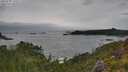 ./images/calvert/foggy-cove/20250705/foggy-cove20250705_170509M.jpg