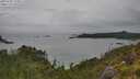 ./images/calvert/foggy-cove/20250705/foggy-cove20250705_174011M.jpg