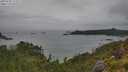./images/calvert/foggy-cove/20250705/foggy-cove20250705_174507M.jpg