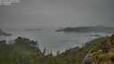 ./images/calvert/foggy-cove/20250706/foggy-cove20250706_055009M.jpg