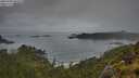 ./images/calvert/foggy-cove/20250706/foggy-cove20250706_061010M.jpg