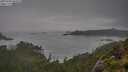 ./images/calvert/foggy-cove/20250706/foggy-cove20250706_065010M.jpg