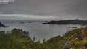 ./images/calvert/foggy-cove/20250706/foggy-cove20250706_075011M.jpg