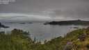 ./images/calvert/foggy-cove/20250706/foggy-cove20250706_080010M.jpg