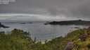 ./images/calvert/foggy-cove/20250706/foggy-cove20250706_080509M.jpg